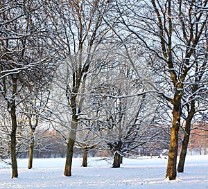 Snow in the city park in Groningen
