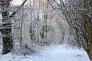 Snow in the city park of Groningen.