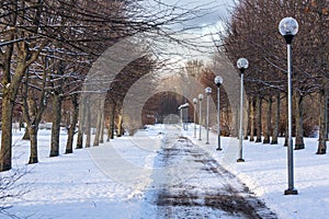 Snow cleared from walkway in park.