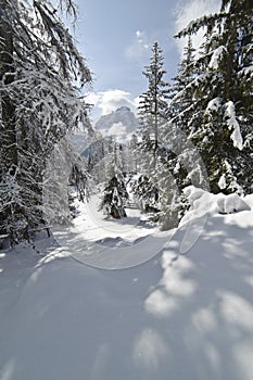 Snow Climbing through a forrest in the Dolomites