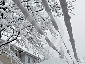 Snow clinging to wires and accumulating on a cold Winter day