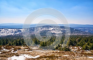 Der schnee a Nadelbäume berge im 