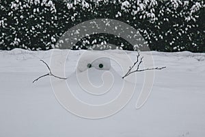 Snow construction during Storm Emma, also known as the Beast from the East