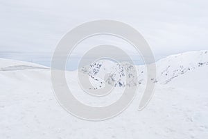 Snow corridor on Tateyama Kurobe Alpine Route, Japanese Alp