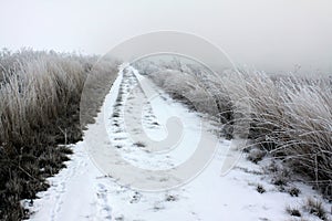 Snow on a Country Road