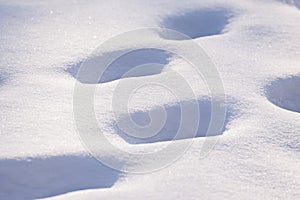 Snow Cover