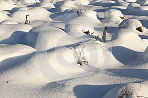 snow cover the grass and dry plants