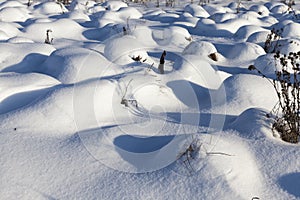 snow cover the grass and dry plants