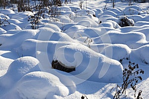 snow cover the grass and dry plants