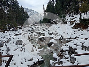 Snow coverd the river ground in wenter