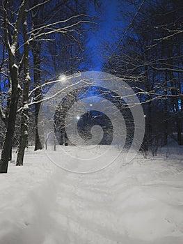 A snow-covered alley of a city park illuminated by lanterns.