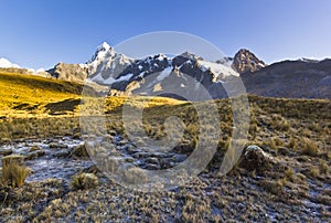 Snow-covered Andes mountains at sunrise and frozen grass meadow