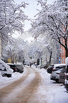 A snow-covered avenue and parked cars on a snow-covered street