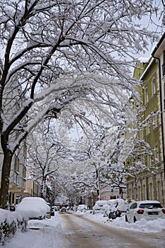 A snow-covered avenue and parked cars on a snow-covered street