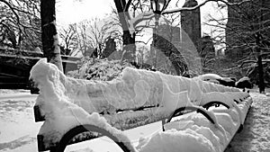Snow covered bench in Central Park in New York