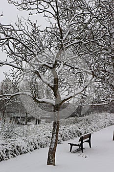 Snow covered bench in a park in Karlsruhe, Germany