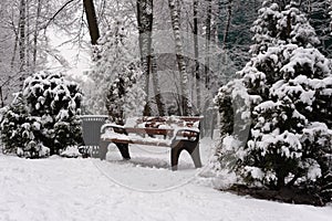 Snow-covered bench in the park in winter.