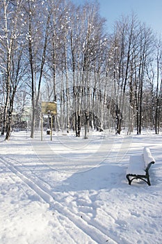 Snow-covered bench in a Sunny winter day XXXL