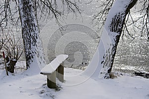 Snow-covered bench and two trees close to the sea