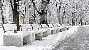 Snow covered benches