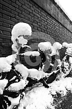 A snow covered bicycle