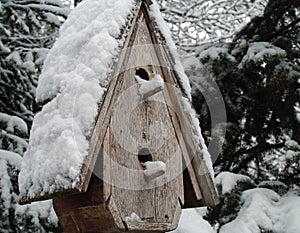 A Snow Covered Birdhouse