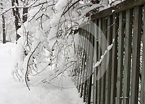 snow-covered boardwalk old green fence. Countryside gloomy winter day