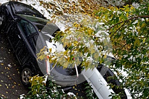 Snow-covered branches and yellow leaves of autumn trees against the backdrop of cars. The beginning of winter or late autumn in