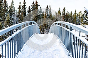 snow covered bridge