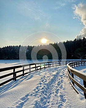 Snow-covered bridge in the forest in the rays of the bright winter sun