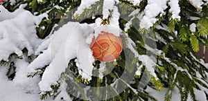 Snow-covered bright and multi-colored Christmas tree decorations on a snowy New Year tree