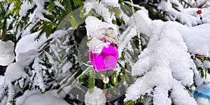 Snow-covered bright and multi-colored Christmas tree decorations on a snowy New Year tree