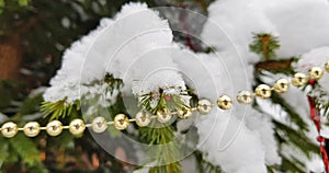 Snow-covered bright and multi-colored Christmas tree decorations on a snowy New Year tree with green needles in a winter country g