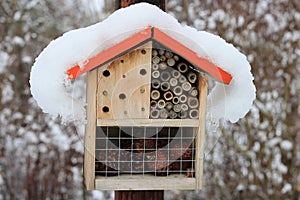 Snow covered bug house in winter