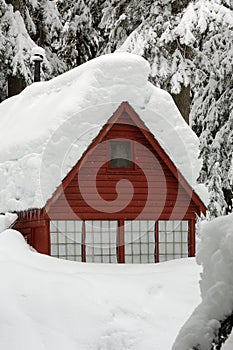 Snow Covered Cabin