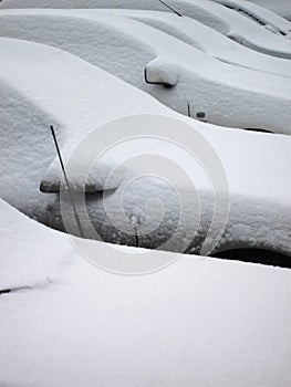 Snow covered cars