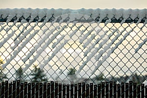 Snow covered chain link fence in winter