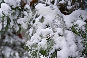 snow-covered christmas ball on tree, silver bauble sphere, new year holiday decoration