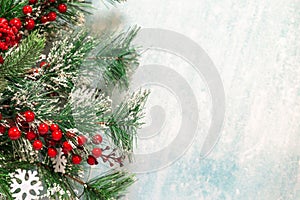 Snow-covered Christmas fir branches on a blue background