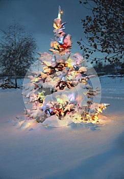 La nieve cubierto árbol de navidad 
