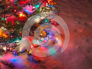 Snow Covered Christmas Tree