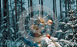 Snow covered Christmas Tree Branch