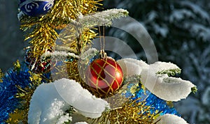 Snow covered Christmas Tree Branch