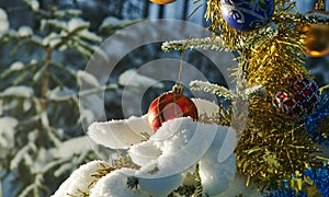 Snow covered Christmas Tree Branch