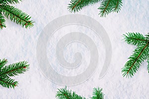 Snow covered with Christmas tree branches with free space