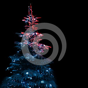 Snow-covered Christmas tree decorated with lights