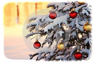 Snow Covered Christmas Tree