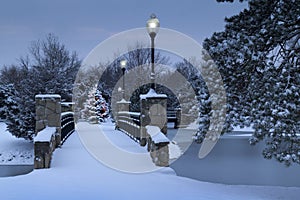 La neve coperto albero di natale luci accese 