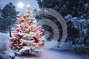 Snow Covered Christmas Tree with moonrise