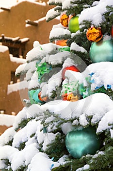 Snow Covered Christmas Tree In Santa Fe New Mexico